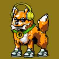DogePunks #3807