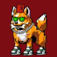 DogePunks #896
