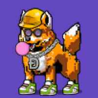 DogePunks #3586