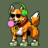 DogePunks #358