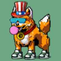DogePunks #623