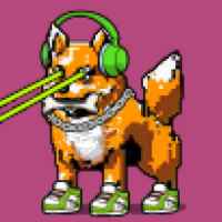 DogePunks #2419