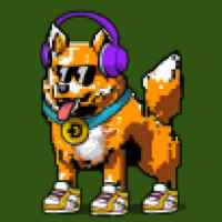 DogePunks #789