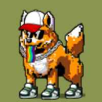 DogePunks #1581