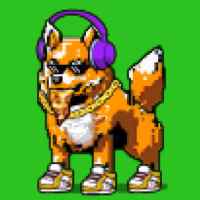 DogePunks #2794