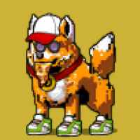 DogePunks #3374