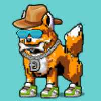 DogePunks #4094