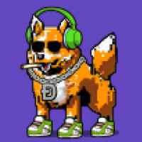DogePunks #538