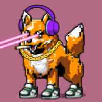 DogePunks #827