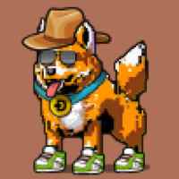 DogePunks #1773