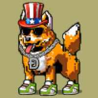DogePunks #4381