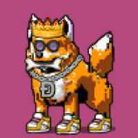 DogePunks #553