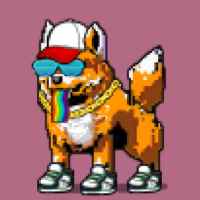 DogePunks #1570