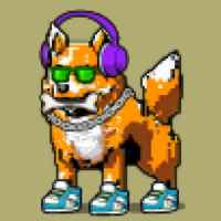 DogePunks #4844
