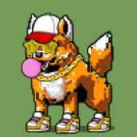 DogePunks #1741