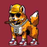 DogePunks #2611
