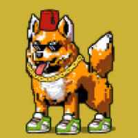 DogePunks #3463