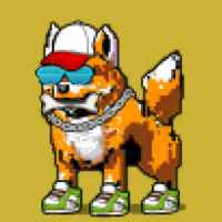 DogePunks #4325