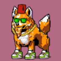 DogePunks #880