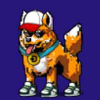 DogePunks #4779