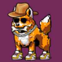 DogePunks #3016