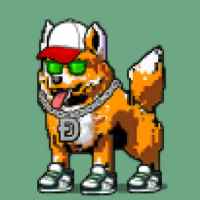 DogePunks #1934