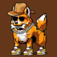 DogePunks #784