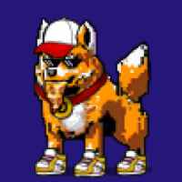 DogePunks #3092