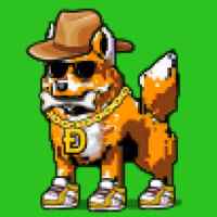DogePunks #4855
