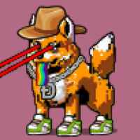 DogePunks #1355