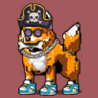 DogePunks #1348