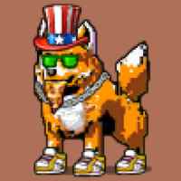 DogePunks #213