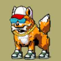 DogePunks #4504