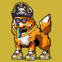 DogePunks #2035
