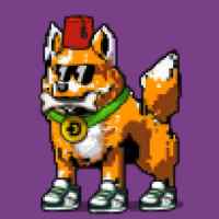 DogePunks #4896