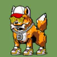 DogePunks #1270