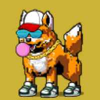 DogePunks #293