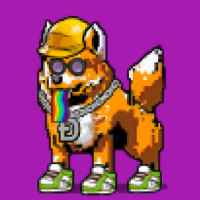 DogePunks #702