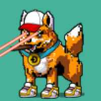 DogePunks #4117