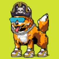 DogePunks #4023