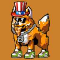 DogePunks #2500