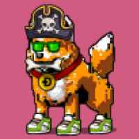DogePunks #2899