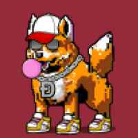 DogePunks #3478
