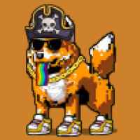 DogePunks #2489