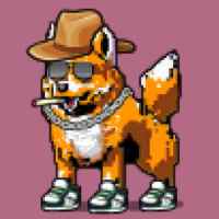 DogePunks #556