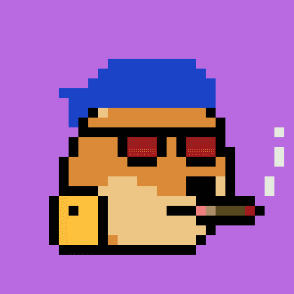 Dogepunk #1528