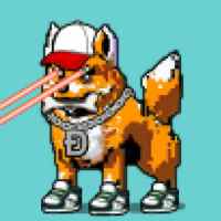 DogePunks #1432