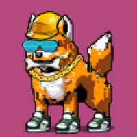 DogePunks #1080
