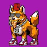 DogePunks #2633