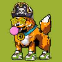 DogePunks #2172